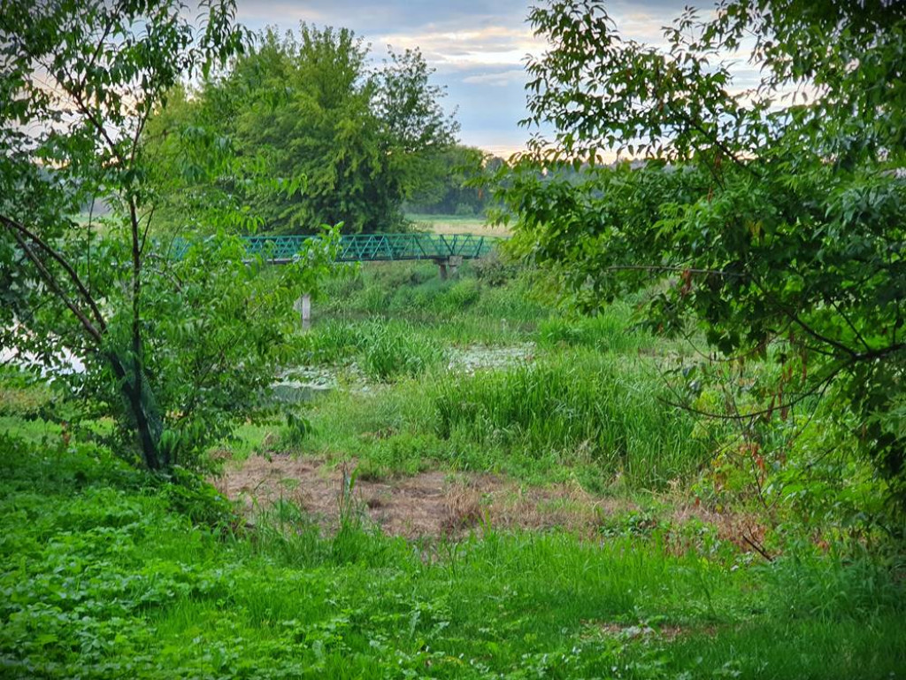 Hrubieszów: Mało wody w Huczwie... [ZDJĘCIA]