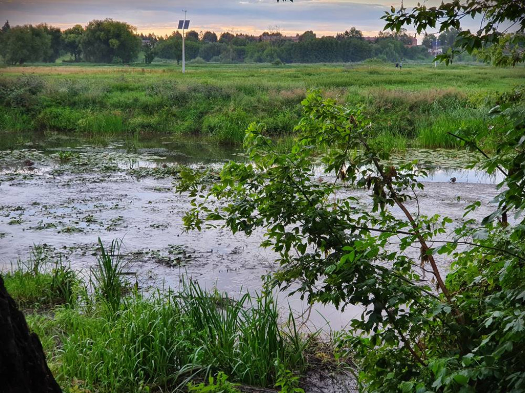 Hrubieszów: Mało wody w Huczwie... [ZDJĘCIA]