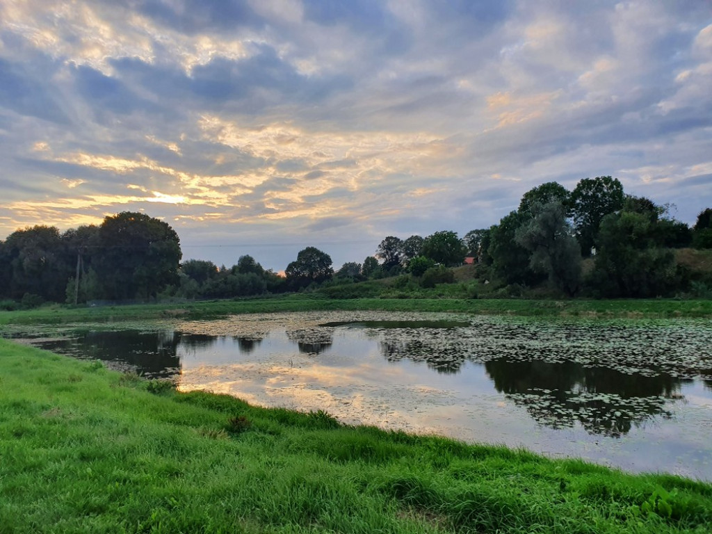 Ulica Działkowa