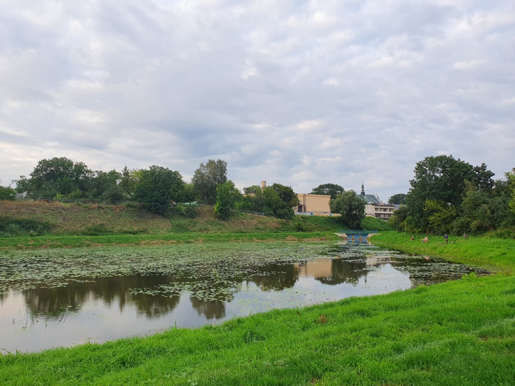 Ulica Działkowa