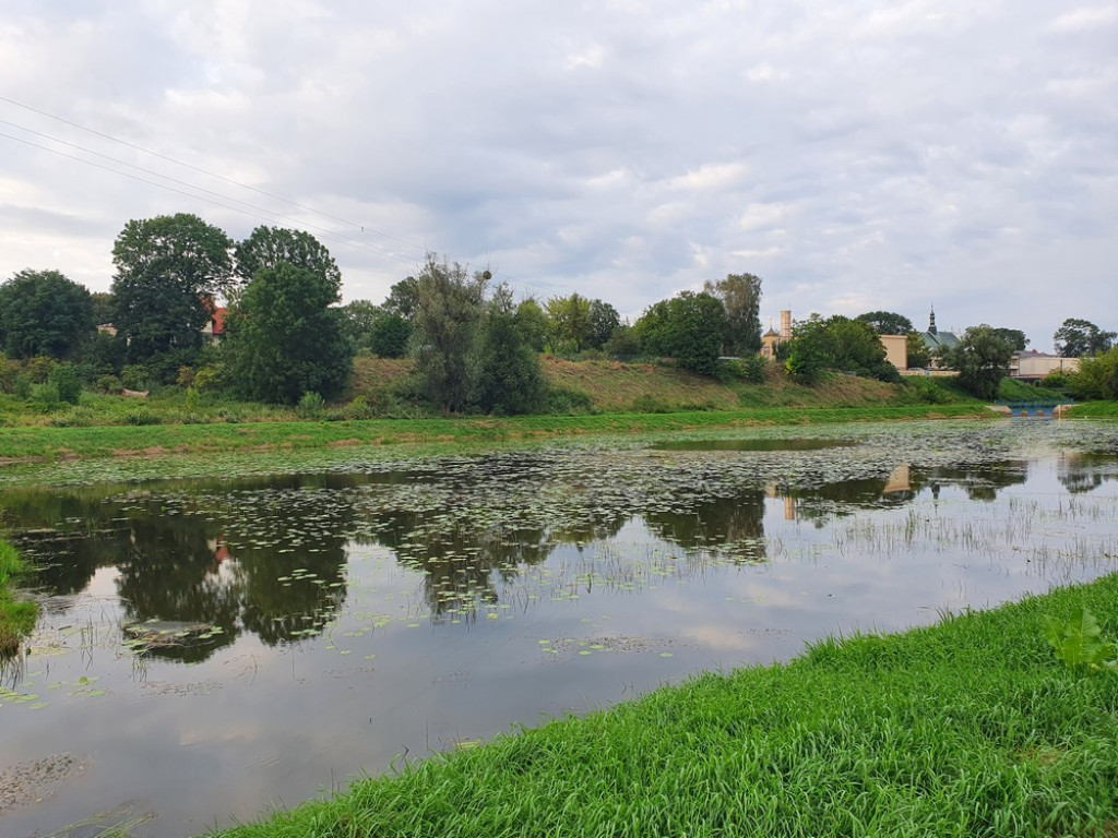 Ulica Działkowa