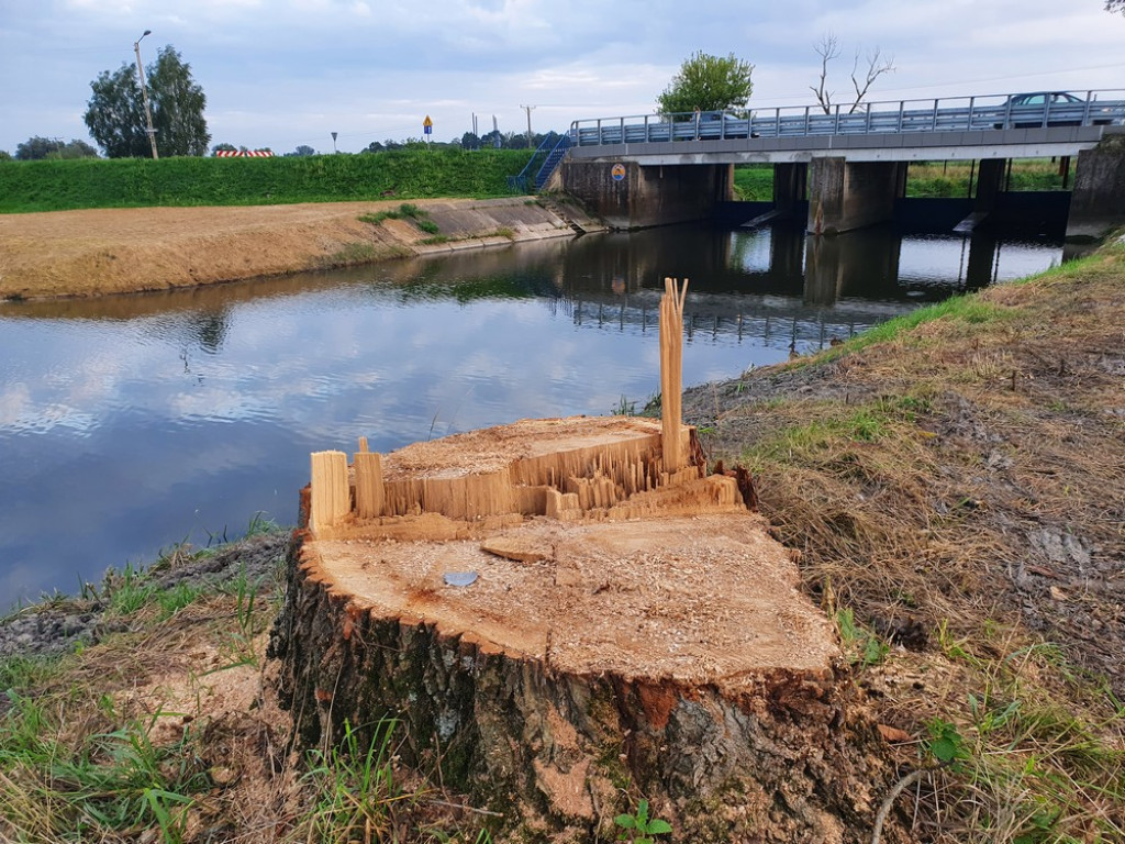 Hrubieszów: Kąpielisko nad Huczwą na ukończeniu [ZDJĘCIA]