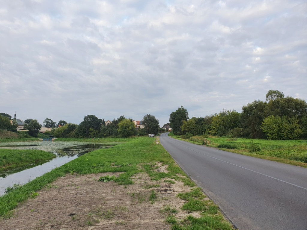 Ulica Działkowa