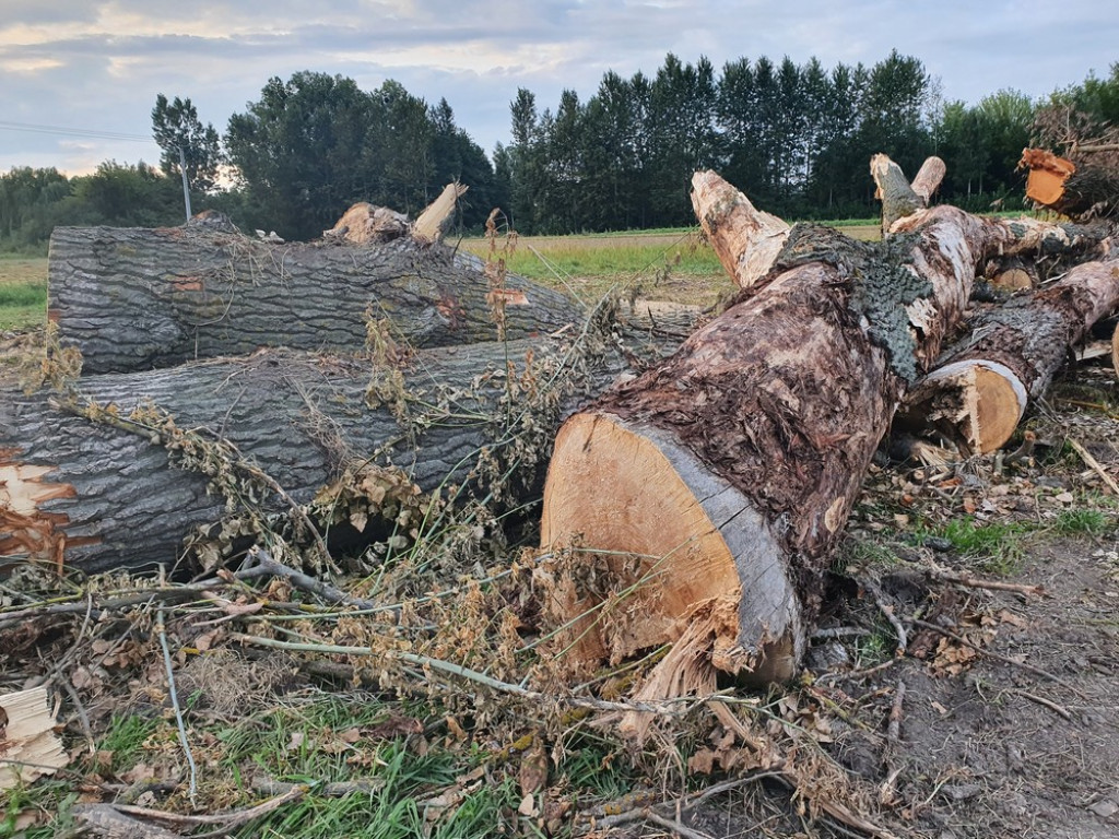 Hrubieszów: Kąpielisko nad Huczwą na ukończeniu [ZDJĘCIA]