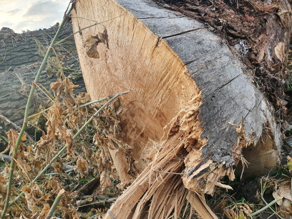 Hrubieszów: Kąpielisko nad Huczwą na ukończeniu [ZDJĘCIA]