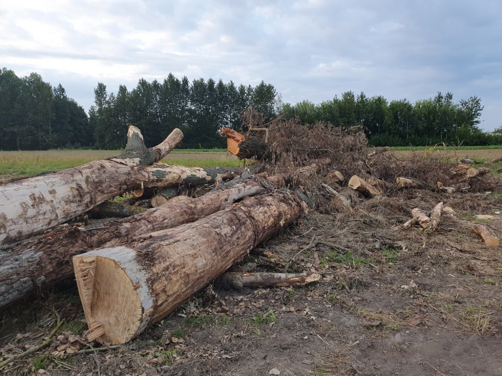 Hrubieszów: Kąpielisko nad Huczwą na ukończeniu [ZDJĘCIA]