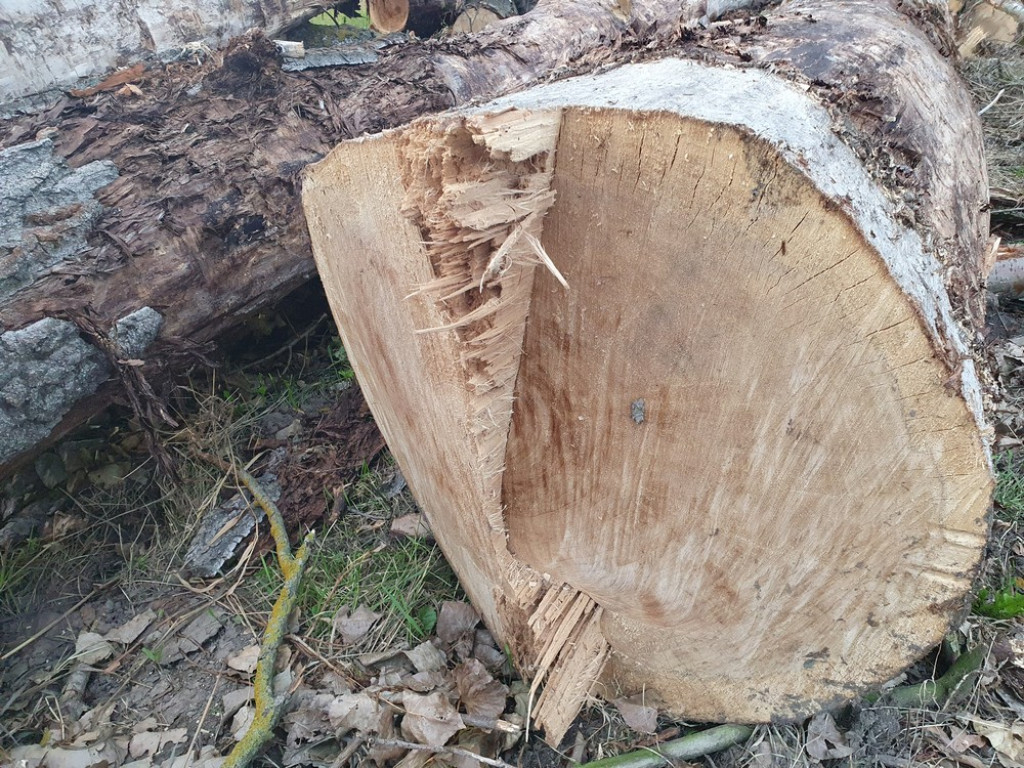 Hrubieszów: Kąpielisko nad Huczwą na ukończeniu [ZDJĘCIA]