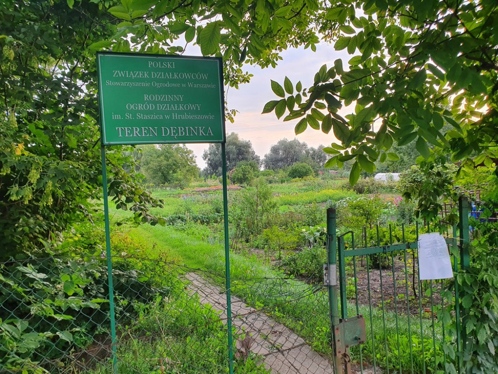 Ulica Działkowa