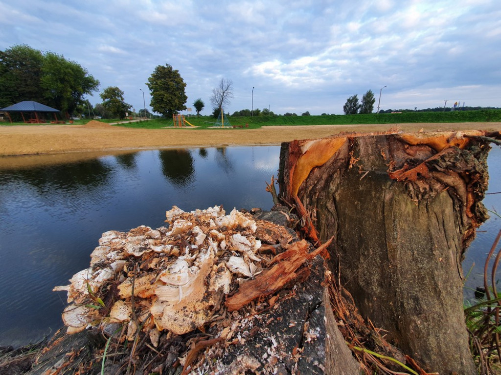 Hrubieszów: Kąpielisko nad Huczwą na ukończeniu [ZDJĘCIA]