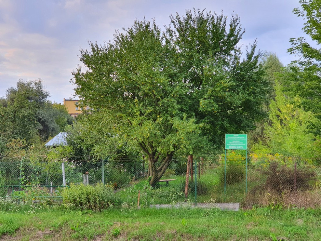 Ulica Działkowa