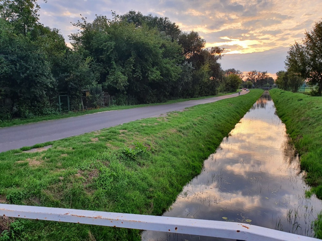 Ulica Działkowa