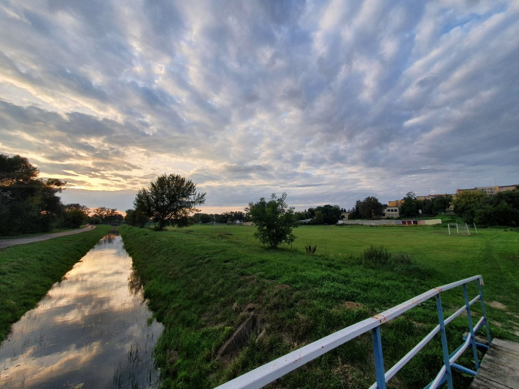 Ulica Działkowa