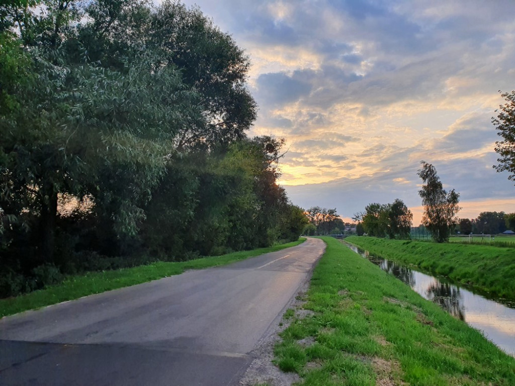 Ulica Działkowa