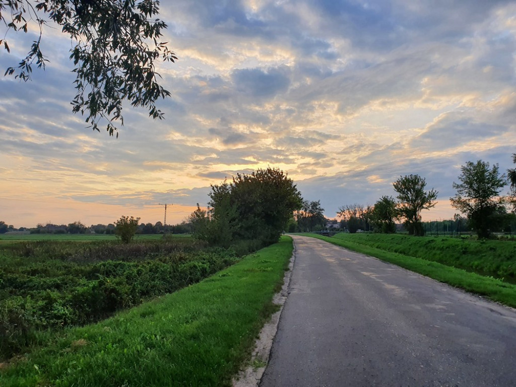 Ulica Działkowa