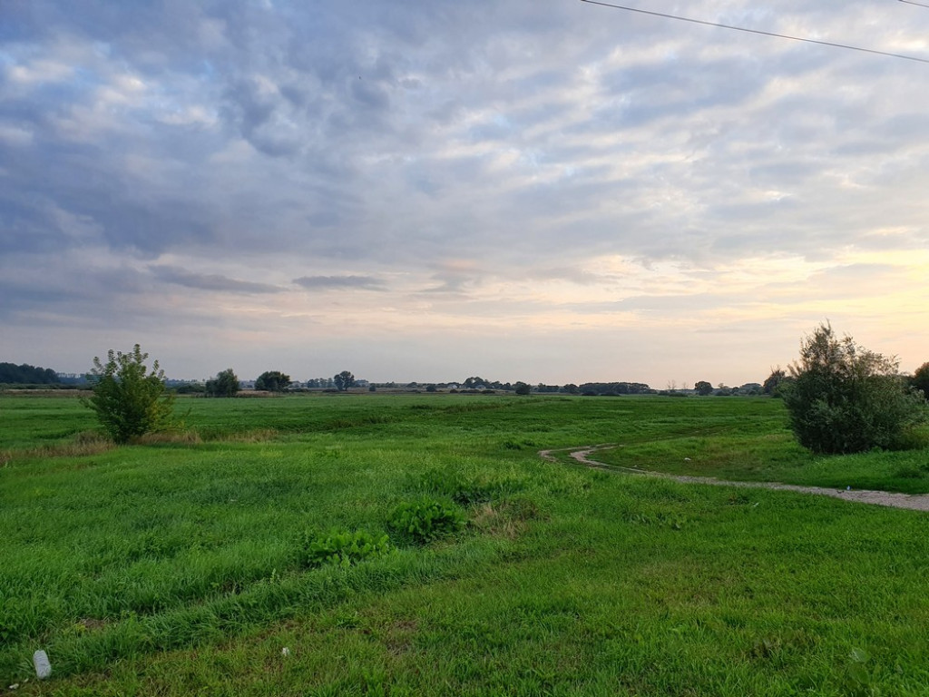 Ulica Działkowa