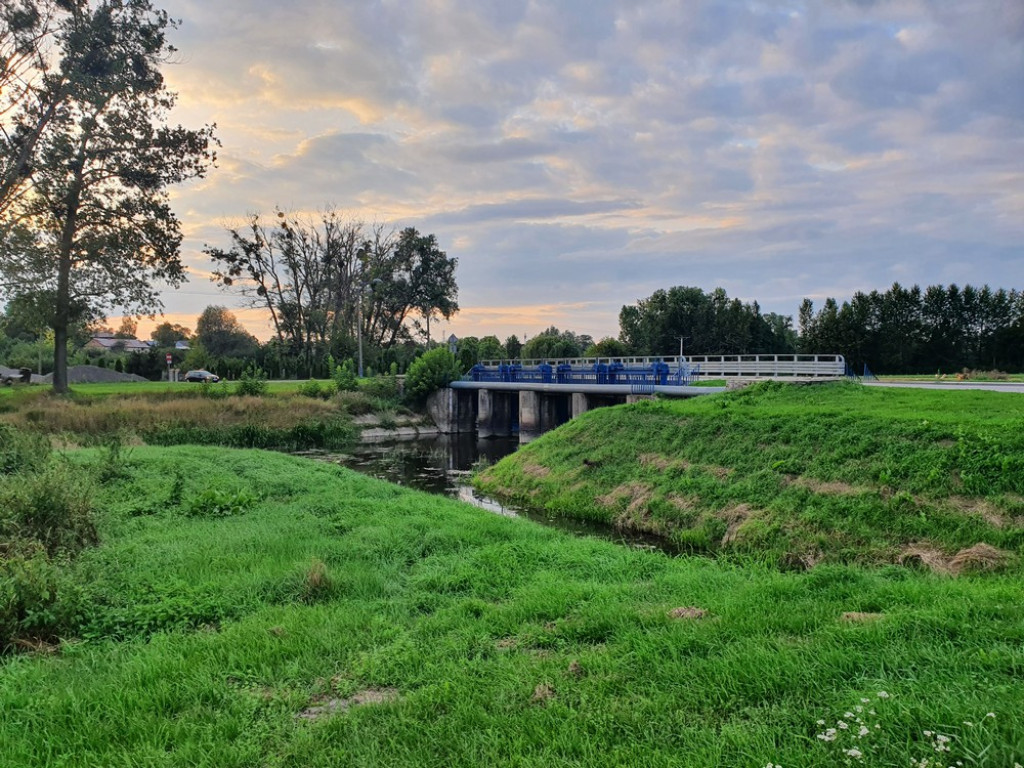 Ulica Działkowa