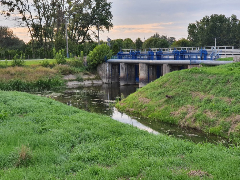 Ulica Działkowa