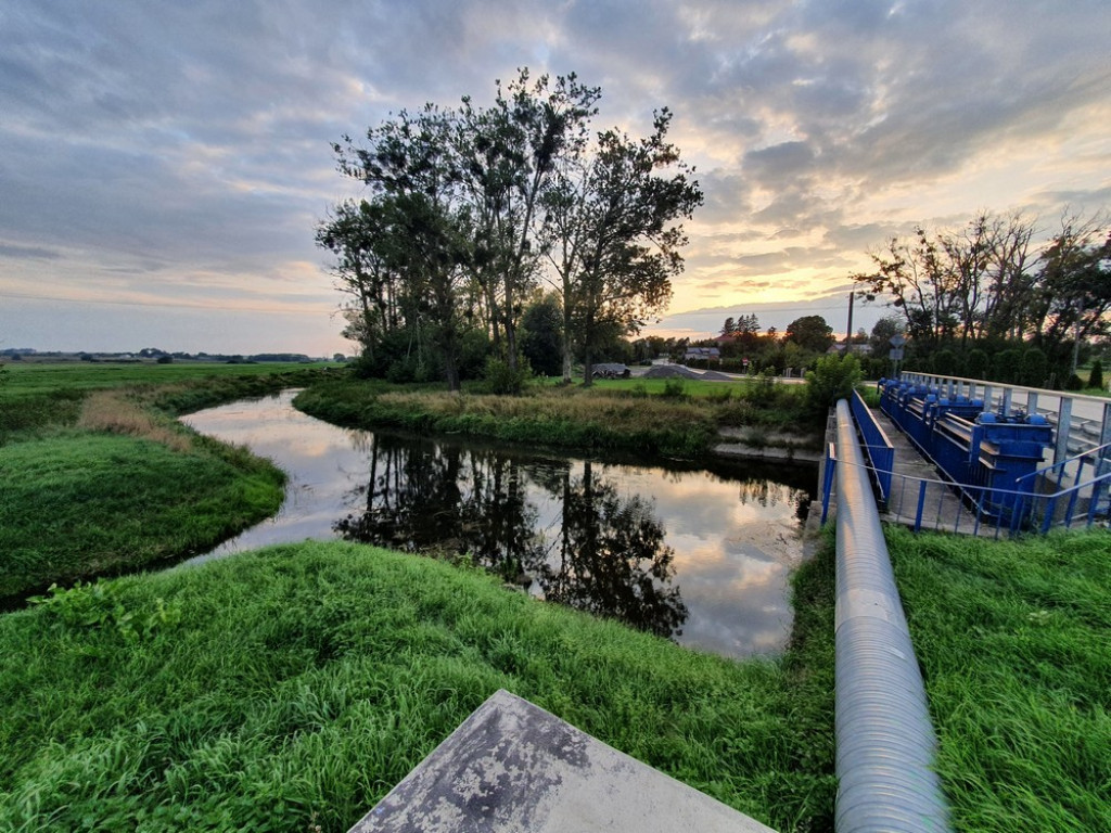 Ulica Działkowa