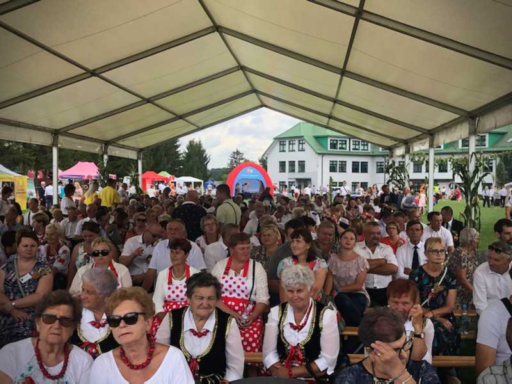 Dożynki powiatu zamojskiego i gminy Miączyn [ZDJĘCIA]