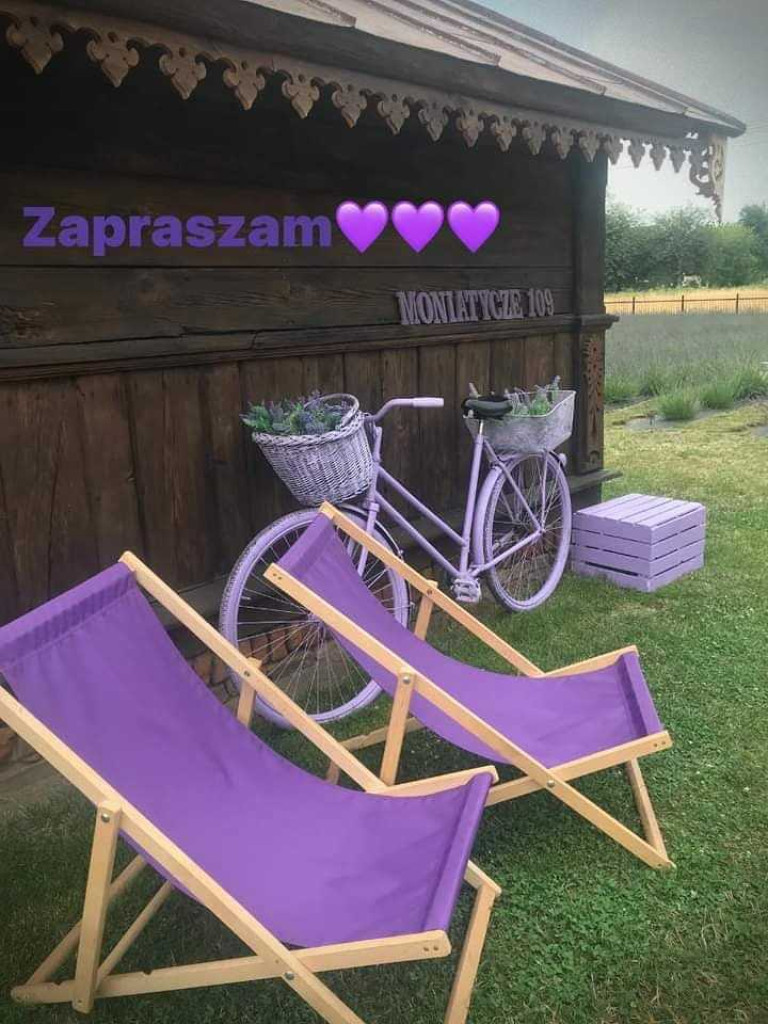 Lawendowy raj w powiecie hrubieszowskim [ZDJĘCIA]
