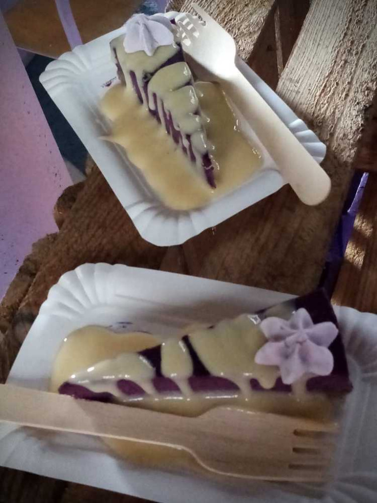 Lawendowy raj w powiecie hrubieszowskim [ZDJĘCIA]