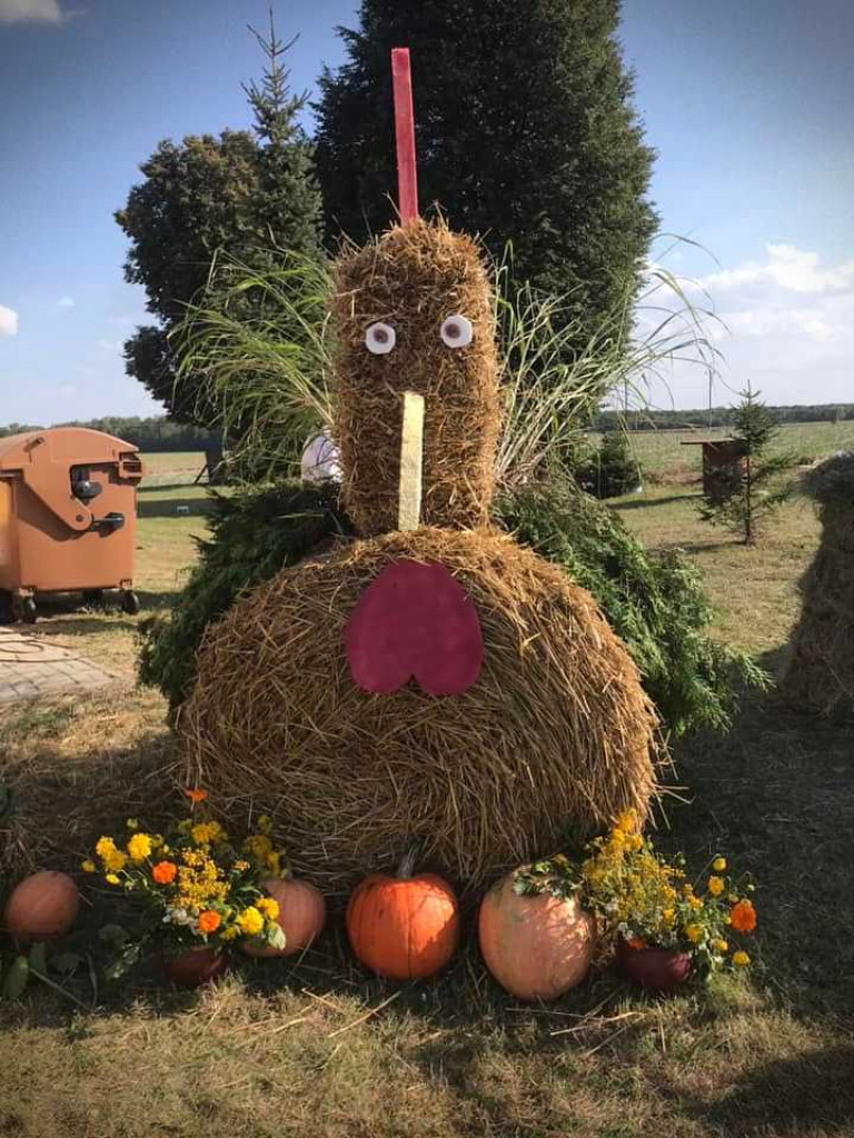 Dożynki w Terebiniu [ZDJĘCIA]