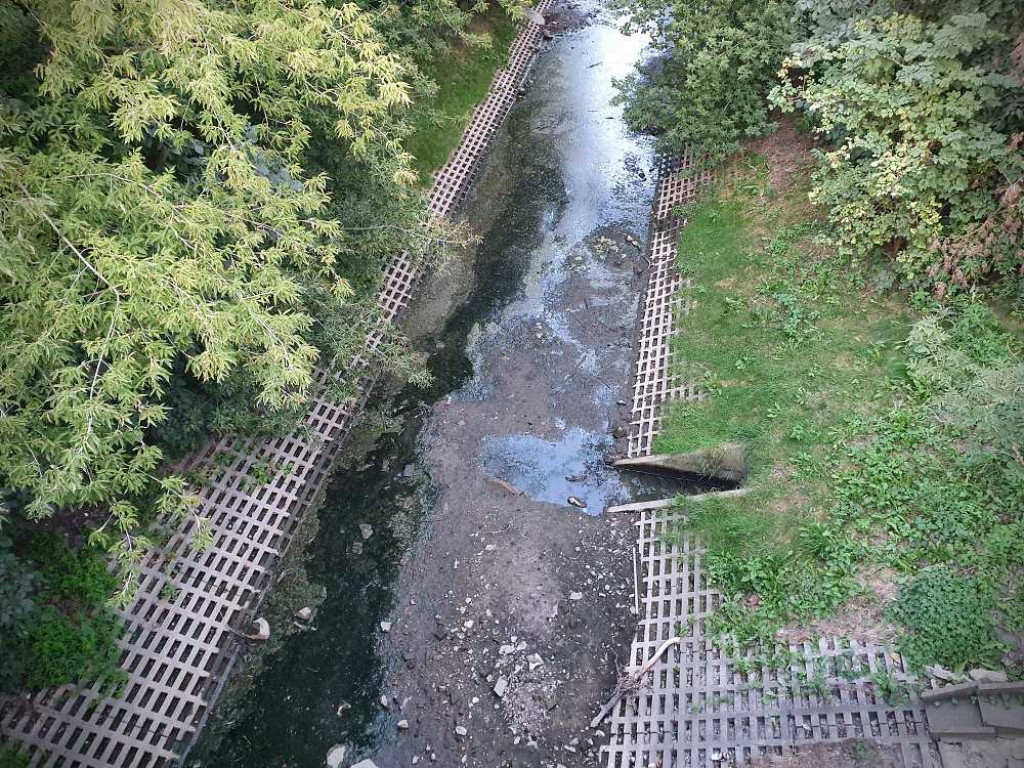 Huczwa pod koniec sierpnia 2022 roku [ZDJĘCIA]