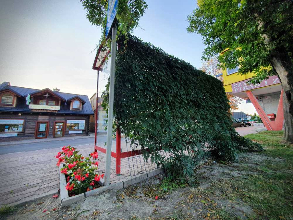 Hrubieszów: Przystanek przy ul. Partyzantów [ZDJĘCIA]