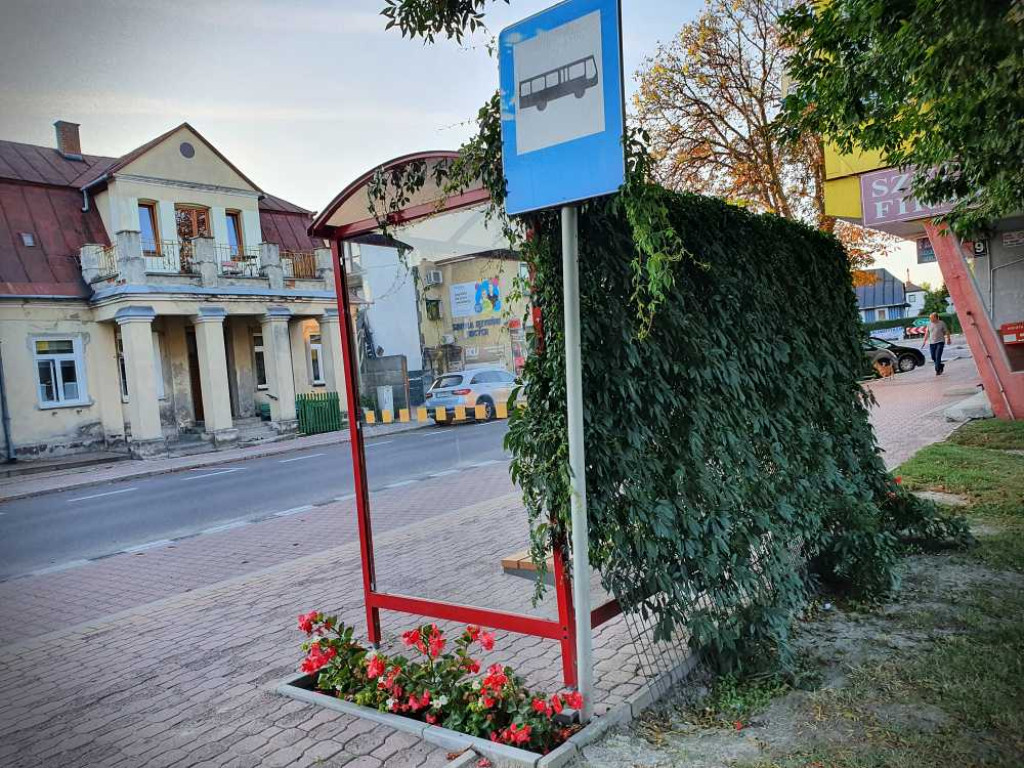 Hrubieszów: Przystanek przy ul. Partyzantów [ZDJĘCIA]
