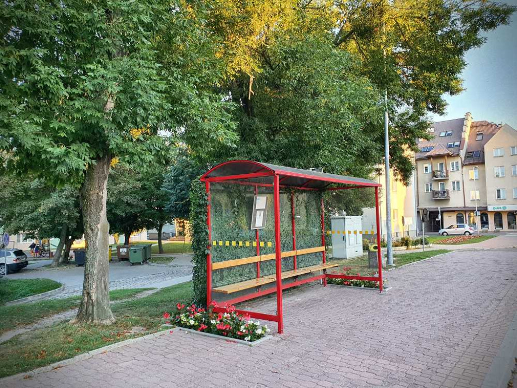 Hrubieszów: Przystanek przy ul. Partyzantów [ZDJĘCIA]