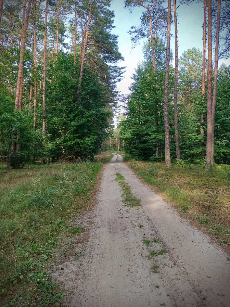 Wielka Wyprawa - zakończenie trasy [ZDJĘCIA]