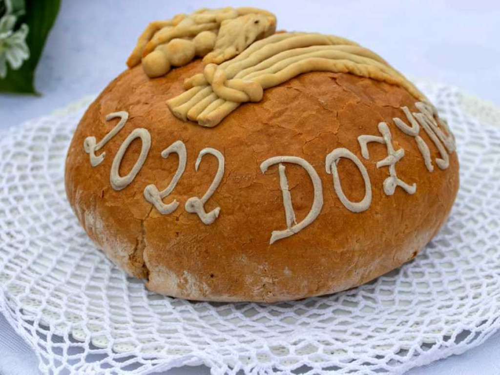 Dożynki powiatowe po mojemu... [ZDJĘCIA]