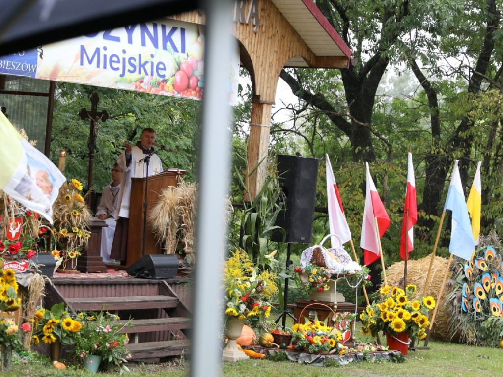 Dożynki miejskie w Hrubieszowie [ZDJĘCIA]