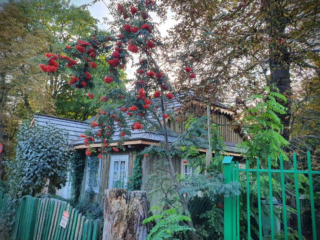 Hrubieszów: Zapraszamy do Zinówki [ZDJĘCIA]