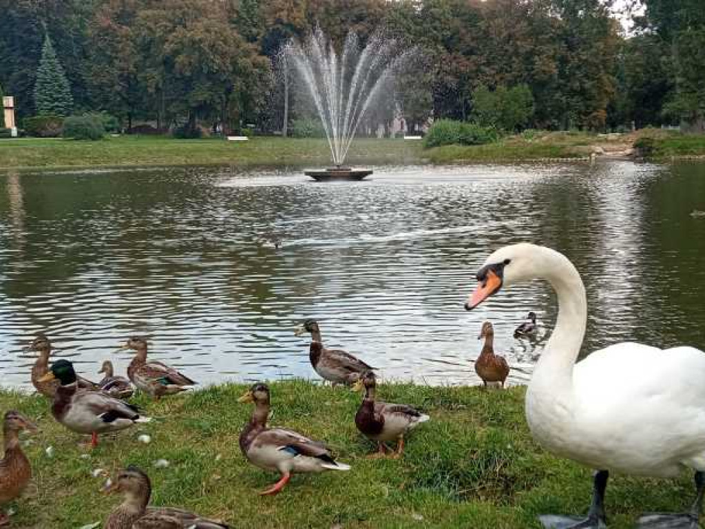 Uczniowie hrubieszowskiej Jedynki na wycieczce śladami Bolesława Prusa [ZDJĘCIA]