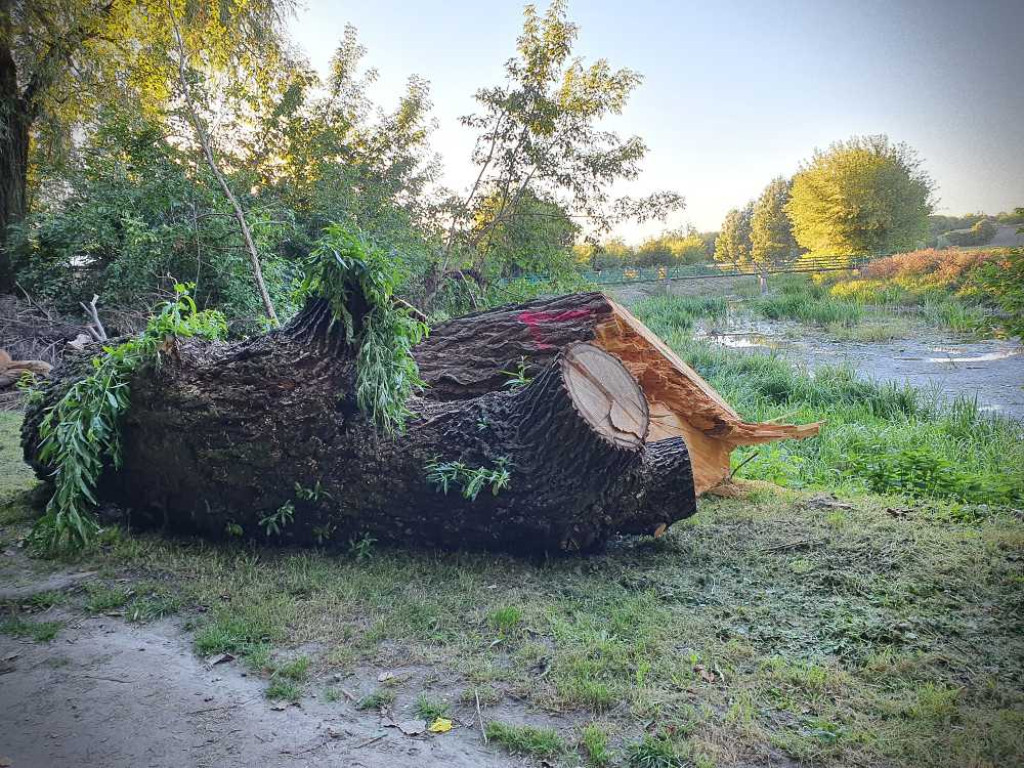 Hrubieszów: Za małym kościółkiem [ZDJĘCIA]