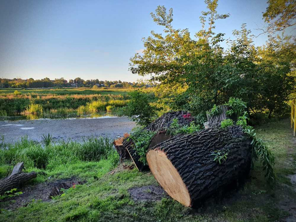 Hrubieszów: Za małym kościółkiem [ZDJĘCIA]