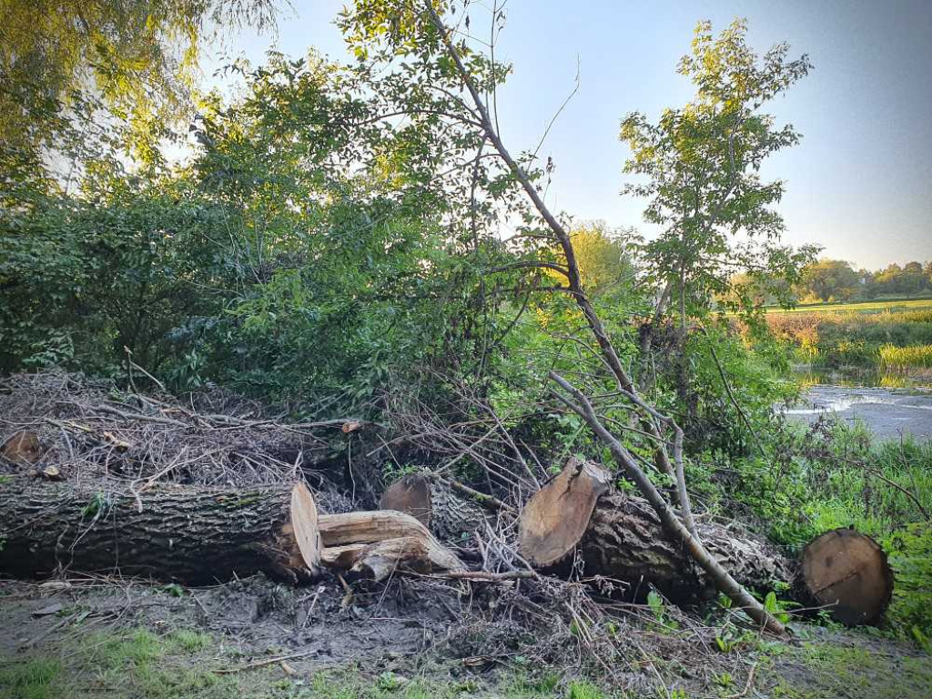 Hrubieszów: Za małym kościółkiem [ZDJĘCIA]