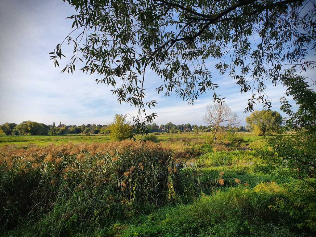 Hrubieszów: Nadhuczwiańskie łąki i Targowica [ZDJĘCIA]