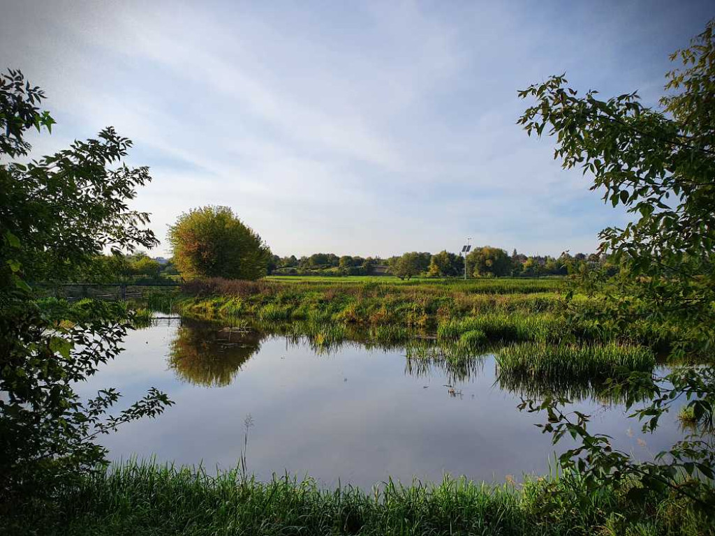 Hrubieszów: Nadhuczwiańskie łąki i Targowica [ZDJĘCIA]
