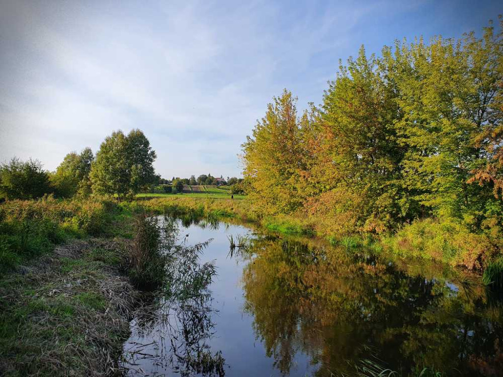 Hrubieszów: Nadhuczwiańskie łąki i Targowica [ZDJĘCIA]