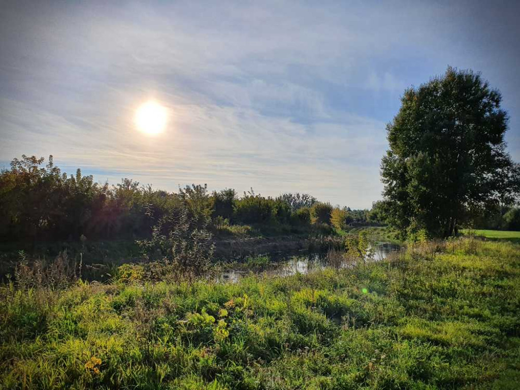 Hrubieszów: Nadhuczwiańskie łąki i Targowica [ZDJĘCIA]