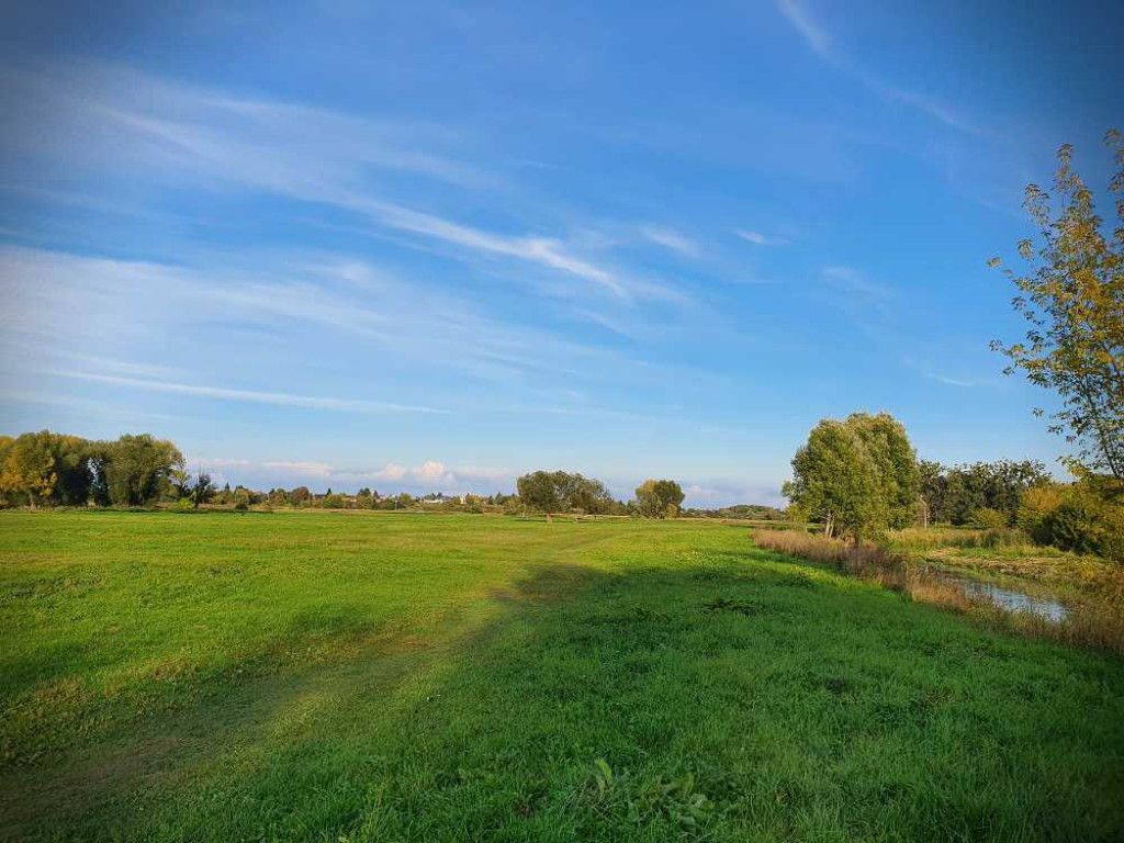 Hrubieszów: Nadhuczwiańskie łąki i Targowica [ZDJĘCIA]