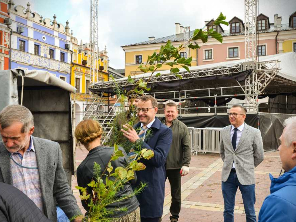 Hrubieszowscy leśnicy rozdawali sadzonki na Zamojskiej Starówce [ZDJĘCIA]