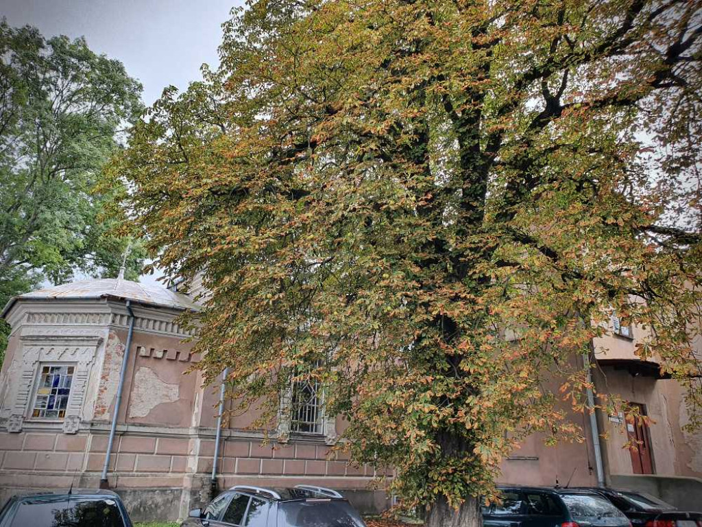 Stary szpital [ZDJĘCIA]