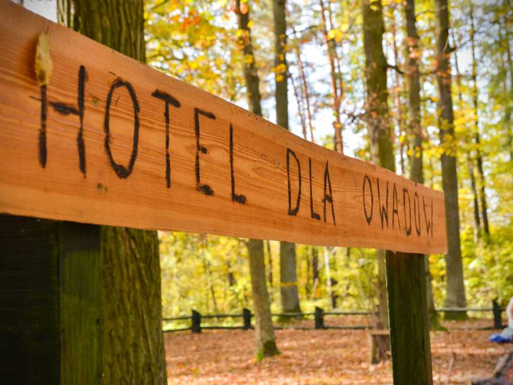 Hrubieszów: Pierwszy hotel dla owadów [ZDJĘCIA]