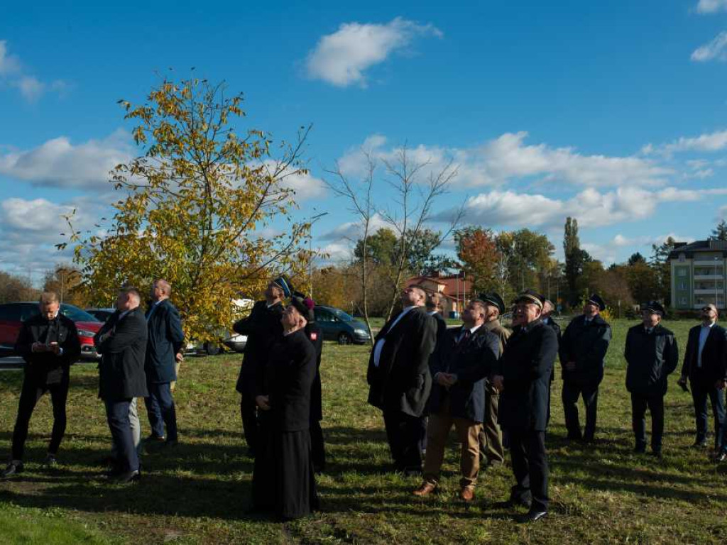 Hrubieszów: Przywrócenie do użytkowania bocznicy kolejowej [ZDJĘCIA]