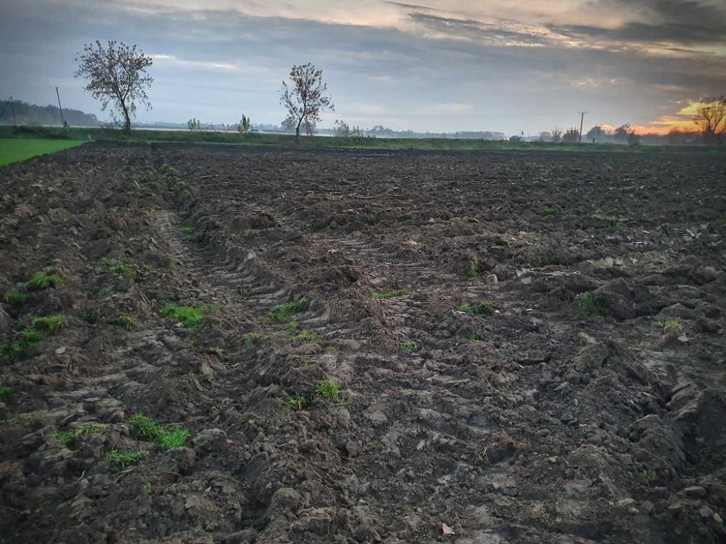 Hrubieszów: Boiska boczne HOSiR [ZDJĘCIA]