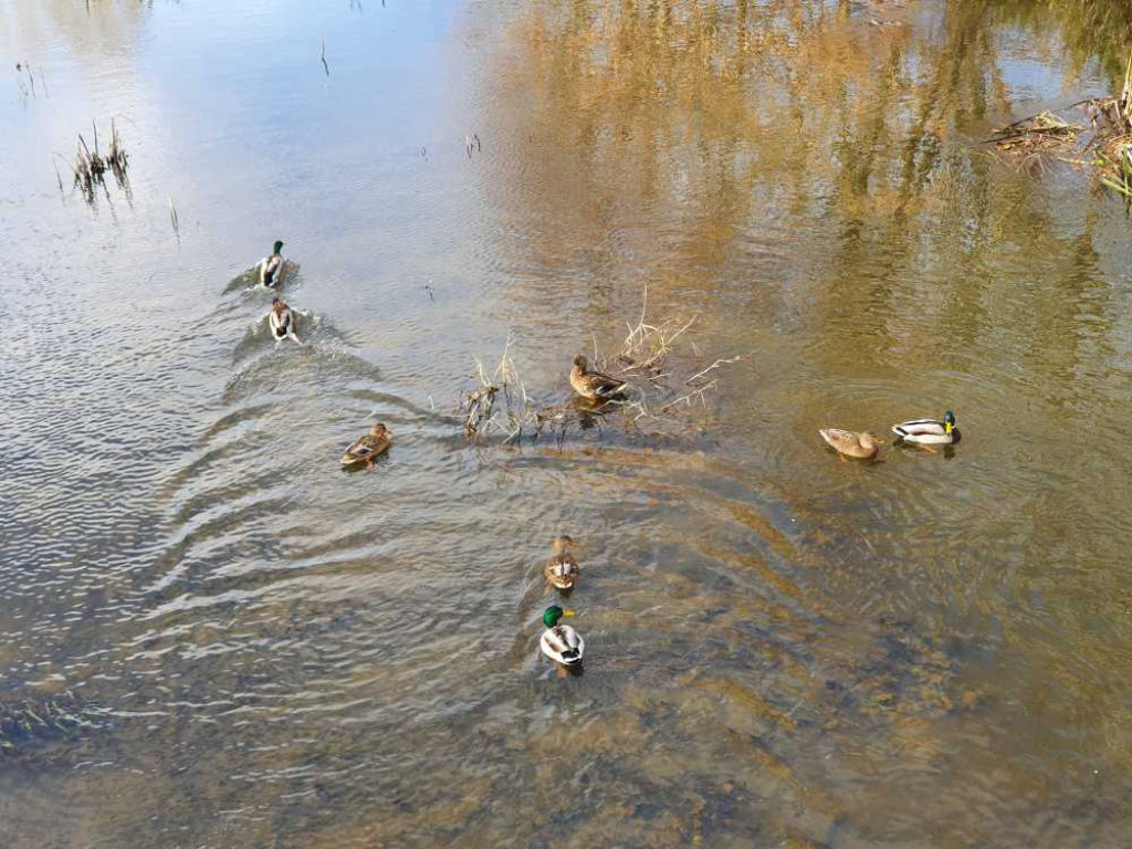 Nadhuczwiańskie łąki [ZDJĘCIA]