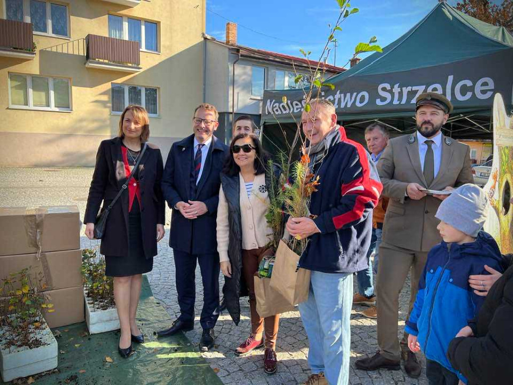 Hrubieszów: Tłumy po leśne drzewka [ZDJĘCIA]